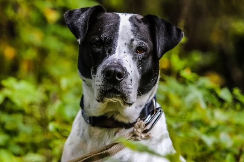 68057357-20161002-f00a4774